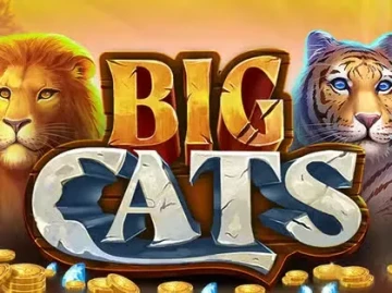 MrPunter Casino screenshot